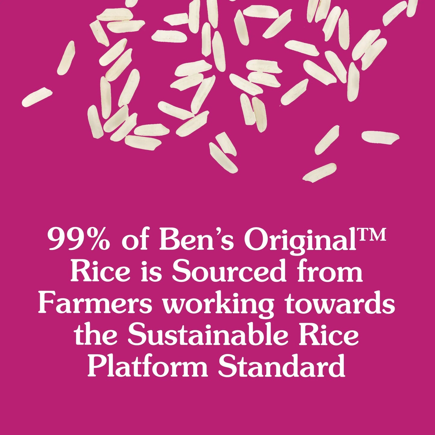 Ben's Original Ready Rice Roasted Chicken Flavored Rice, Easy Dinner Side, 8.8 Ounce Pouch