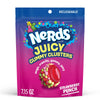 NERDS Juicy Gummy Clusters, Strawberry Punch, Juicy and Gummy Candy, for Snacking and Sharing, 7.15 oz Stand Up Bag