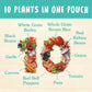 BEN'S ORIGINAL 10 MEDLEY Caribbean Style, Side Dish, 8.5 oz Pouch