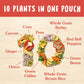 Ben's Original 10 Medley Chinese Style Five Spice, Hearty Medley of Grains, Vegetables, Legumes and Herbs, Side Dish, 8.5 oz Pouch